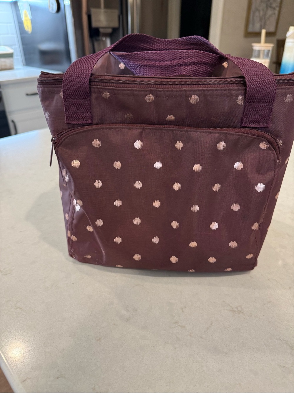 Thirty one insulated lunch tote/picnic cooler